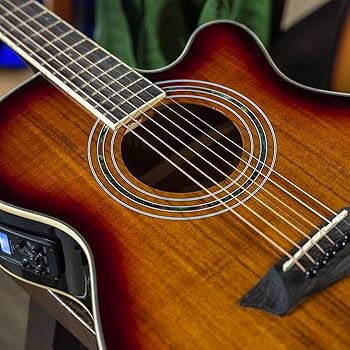 【BASSman】Washburn DC60E BASSman】Washburn DC60E Washburn DC60 DC60E Lexington